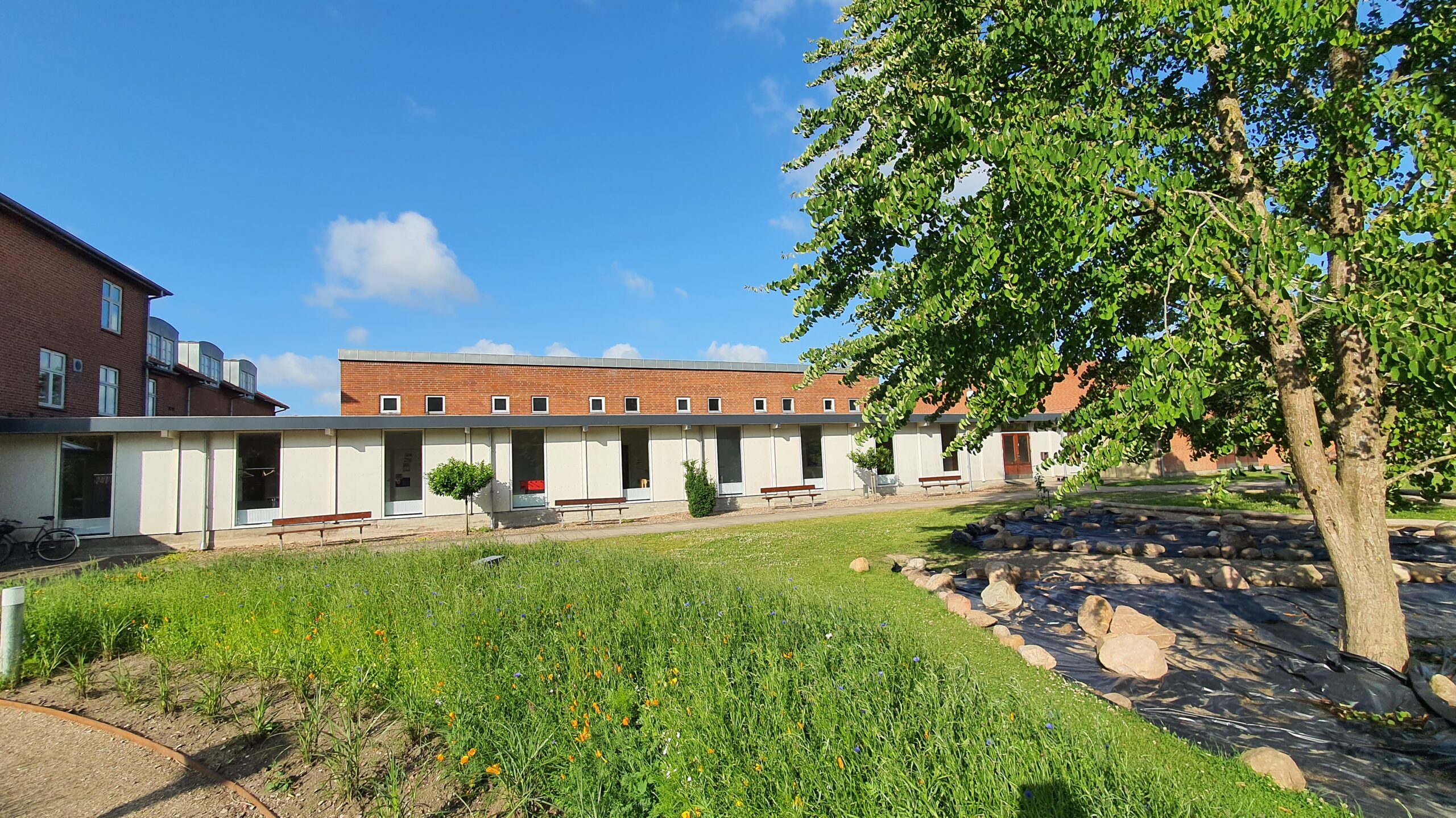 Opførelse af skole- og daginstitutions bygning
