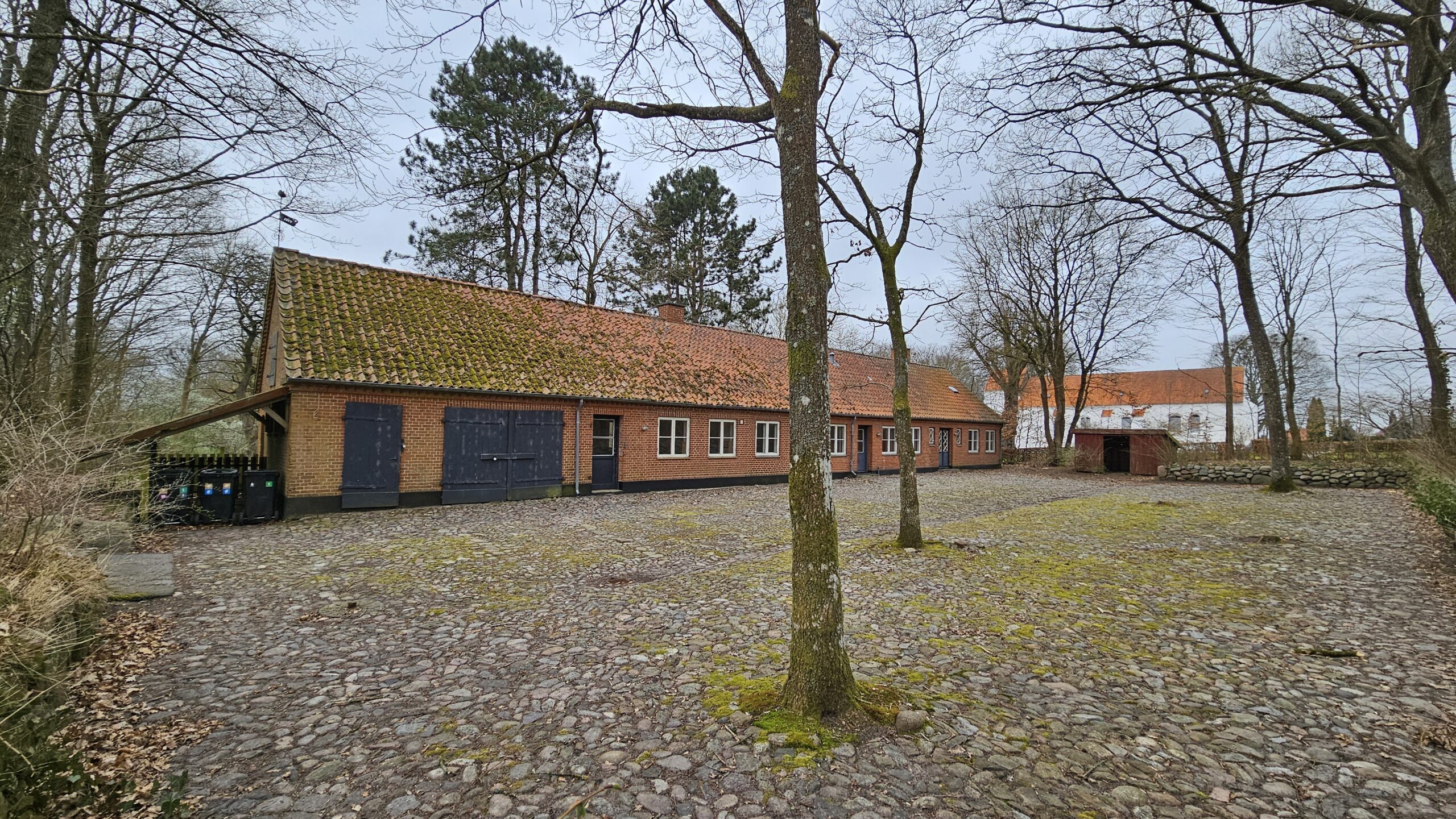 Opførelse af skole- og daginstitutions bygning